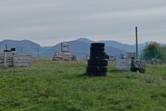 IMG_20241013_120837-scaled