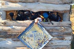 IMG_20241016_151758-scaled